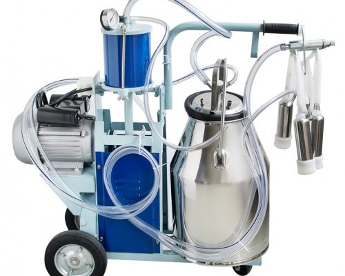 Cow milking machine - Bangladesh