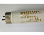 TL84 light 2 feet  - Bangladesh