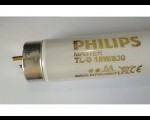 TL83 light 2 feet  - Bangladesh